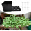 Hydroponic Growing System Indoor Stable Planter Black HotelGrade Hydroponic Kit 2