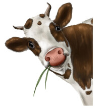 Funny Cow Window Stickers Cute Cow Window Decals Cow Wall Decals Realistic Cow Print Farm Kitchen Decor
