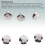 500 Stainless Steel Leather Craft Rivets 9x6mm Double Cap 7