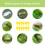 Sticky Trap for Pest with Radish Pattern Yellow 12-Pack 2