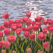 (6.5cm, B) For Beginners Oil Painting By Numbers Kit 20x20cm Complete Set With Frame Brushes Create Your Own Masterpiece