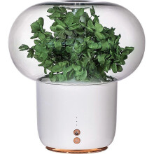 (7pcs, White) For Flower Everlasting Aroma Diffuser Humidifier Night Light 7 Color Mood Lamp Auto Shut Off Quiet Operation