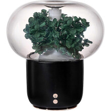 (7pcs, Black) For Flower Everlasting Aroma Diffuser Humidifier Night Light 7 Color Mood Lamp Auto Shut Off Quiet Operation
