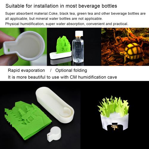Turtle Oasis Simulation Plant Humidifier Non-Toxic and Eco-Friendly 2