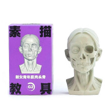 (XL, Q) Planar Head Model 4.68 Inch Artistic Anatomy Sculpture High Quality Resin for Sketching Drawing Study Home Decor