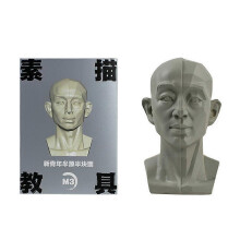 (1pcs, D) Planar Head Model 4.68 Inch Artistic Anatomy Sculpture High Quality Resin for Sketching Drawing Study Home Decor