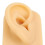 Modello di orecchio in silicone per piercing e allenamento, 7,5x5x3cm 11