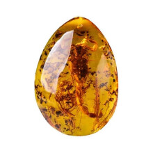 Natural Rough Amber Specimen Raw Uncut Stone for Collectors Display Meditation