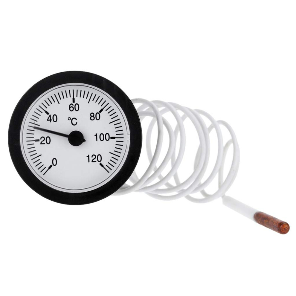 Professional Thermometer Capillary Temperature Gauge Industrialgrade 0120C Water And Oil With 1M Sensor Pressure Gauge 9199774496971