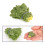 Set di verdure simulate da 7 pezzi: carote mini e spinaci 6