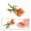 Set di verdure simulate da 7 pezzi: carote mini e spinaci 11