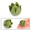 Set di verdure simulate da 7 pezzi: carote mini e spinaci 14