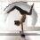 Density EPP Half Round Back Roller Foam For Yoga Pilates 30/45/60/90 CM Black 5