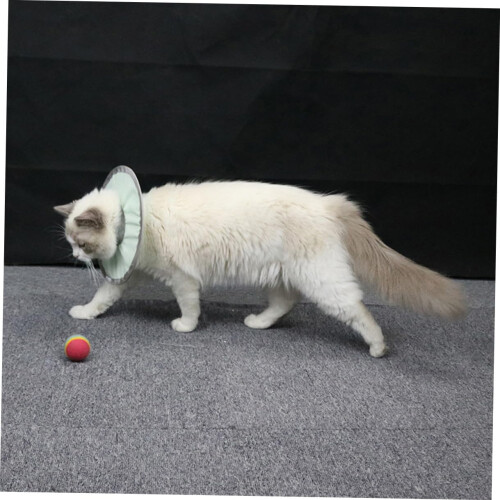 Cat Collar Adjustable Elizabethan Collar For Post Surgery Healing Lightweight Breathable Soft Protective 2