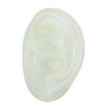 Modèle d'oreille humaine en silicone souple, outil pédagogique de démonstration, pour la science et l'éducation. Texture réaliste, effet peau