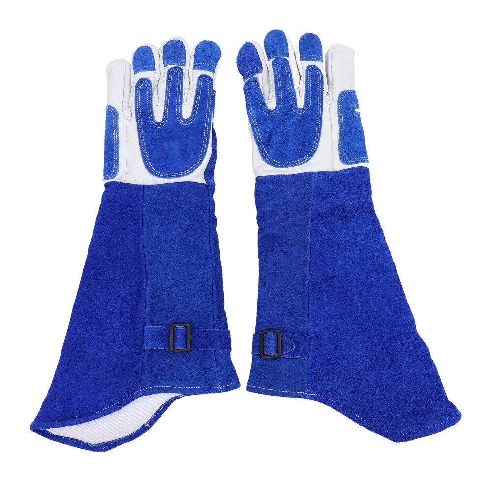 Thickened Insulated Animal Handling Gloves 23In, Scratch-Resistant 8011378544432