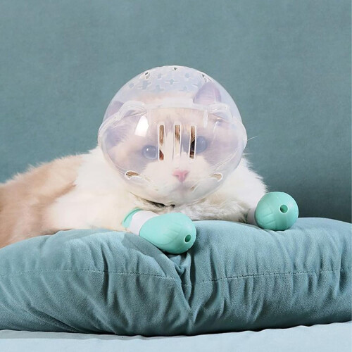 Cat Muzzle Breathable Bubble Helmet For Cats And Kittens, AntiBite, Grooming, Adjustable Size 1