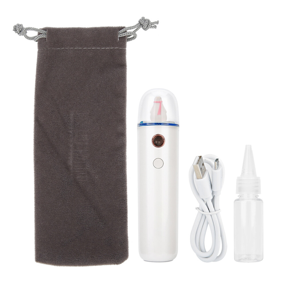 Nano Mist Facial Hydrator, Ultrasonic Moisture Analyzer, 20s Fine Mist Spray for All-Day Refreshment (10ml) For Halloween Parties For Nightclubs