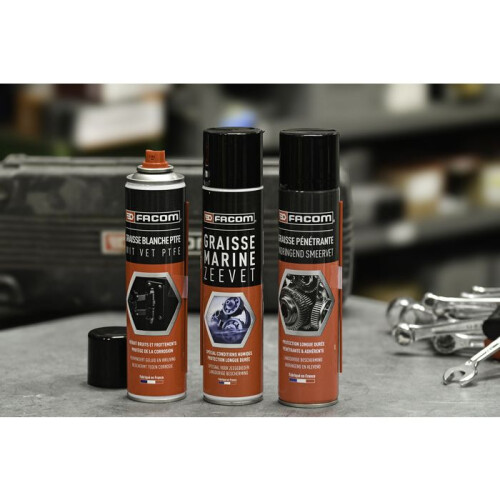 Facom FACOM Penetrationsfett - Widerstandsfähig - Hydrophob - 300 ml 1
