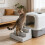 Permanent ABS Multiple Puss Waste Box Step Against-Light Grey 6