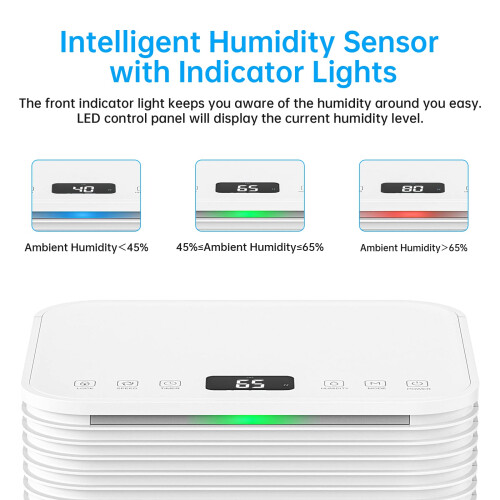 Hangsun 12L Dehumidifier with Digital Humidity Display, Sleep Mode, 2
