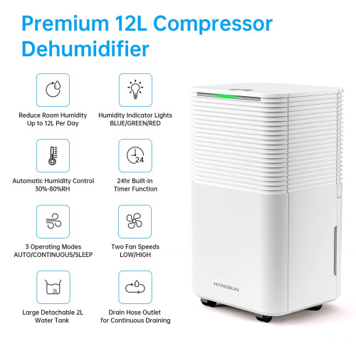 Hangsun 12L Dehumidifier with Digital Humidity Display, Sleep Mode, 1