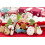 DECORA Christmas 60 Cookie Cutters Display, Plastica, Arancio 6