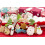 DECORA Christmas 60 Cookie Cutters Display, Plastica, Arancio 8