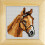 Orchidea Counted Cross Stitch Kit: with Frame: Horse 1