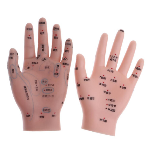 14cm Message Acupuncture Hand Model Reflexology Acupoint  Study Kit 1