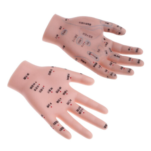 14cm Message Acupuncture Hand Model Reflexology Acupoint  Study Kit 2