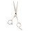 Salon Professional Barber Hair Cutting Regular Scissors Shears Hairdr 3