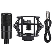 Dynamic Range Cardioid Condenser Microphone, Shockproof Stand For Professional Studio Use, High Pass Filter Eliminates Low-End Noise, Anti-Vibration