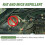 Natural Peppermint Rodent Repellent Balls - 24 Pack with Storage Bag 5