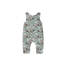 (3-6 Months, Gray) Macacão infantil masculino a dia.