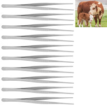 10 Stück Edelstahl Chirurgische Pinzetten Gerade mit Gezackten Spitzen, 20 cm