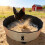 Strong Sand Bathing Bowl for Chickens Ducks PVC Produced-S 4