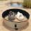Strong Sand Bathing Bowl for Chickens Ducks PVC Produced-S 2