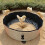 Strong Sand Bathing Bowl for Chickens Ducks PVC Produced-S 6