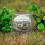 UV Protection Acrylic Baseball Display Cube 8cm Square Clear Holder 6