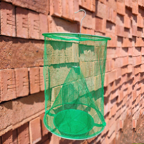 Foldable Fly Trap Cage with Bait Pot for Garden, 23cm Diameter 2