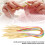 18Pcs Bamboo Circular Needles Set with Accessories, 40cm-120cm Sizes 6