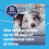 Adaptil Calm Home Diffuser For Dogs With 30 Day Refill, Adaptil Dog Ca 5