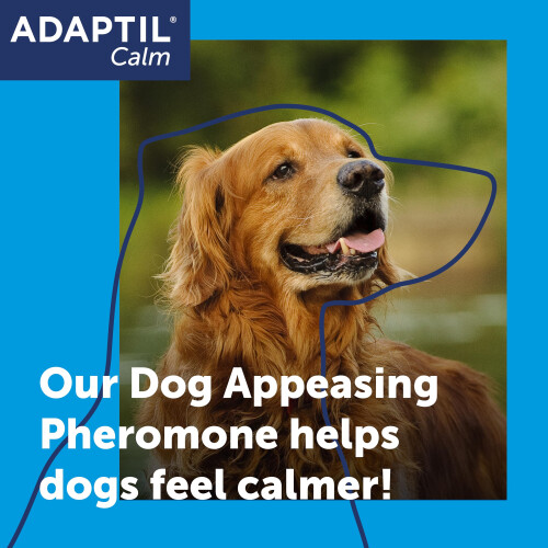 Adaptil Calm Home Diffuser For Dogs With 30 Day Refill, Adaptil Dog Ca 1