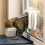 Sure Petcare SureFlap Microchip Cat Flap, RFID Collar Tags, Microchip 2