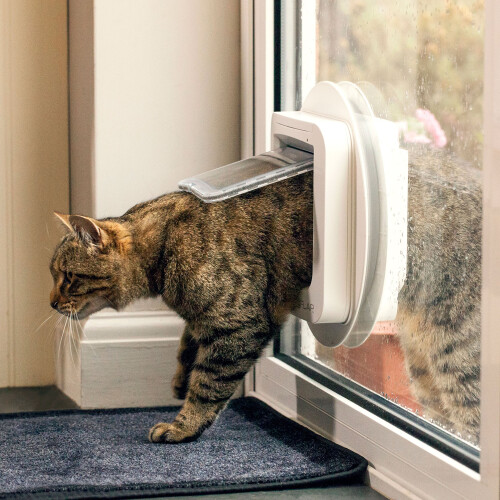 Sure Petcare SureFlap Microchip Cat Flap, RFID Collar Tags, Microchip 1