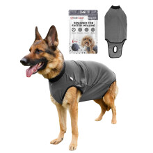 BellyGuard Dog Surgery Recovery Suit for Female & Male, Protective Dog