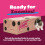 Felight Non-Clumping Cat Litter (30L Bundle) + Cardboard Playbox - Ant 6