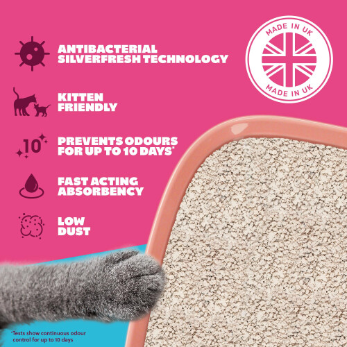 Felight Non-Clumping Cat Litter (30L Bundle) + Cardboard Playbox - Ant 2