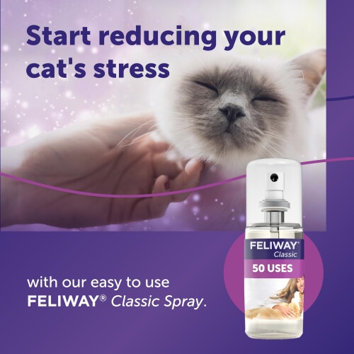 Feliway FELIWAY Classic Cat Calming Odourless Spray, 60ml - Comforts Cats at H 2